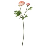 SMYCKA Artificial flower, in/outdoor Ranunculus/pink, 52 cm
