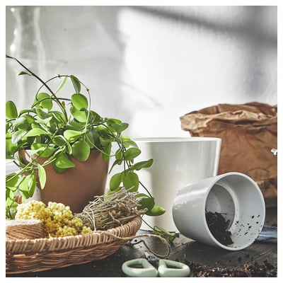 SOJABÖNA Plant pot, white, 12 cm