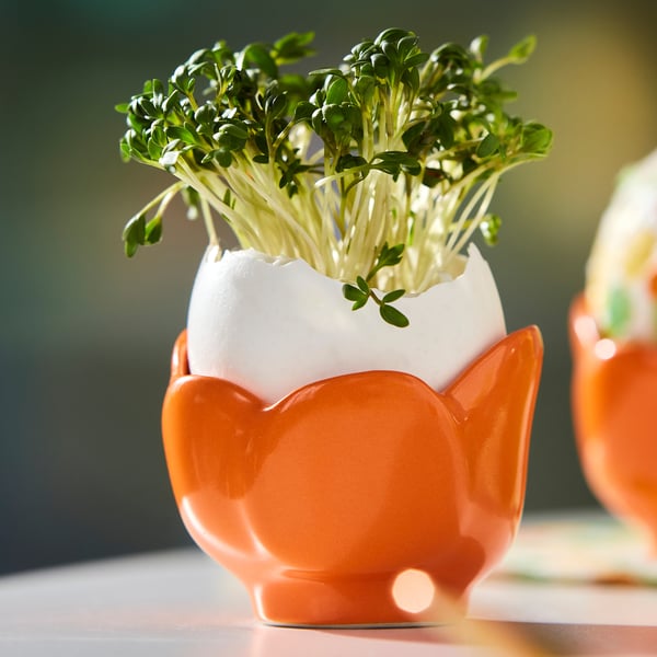 TJÄRLEK Bowl/egg cup, orange, 5 cm