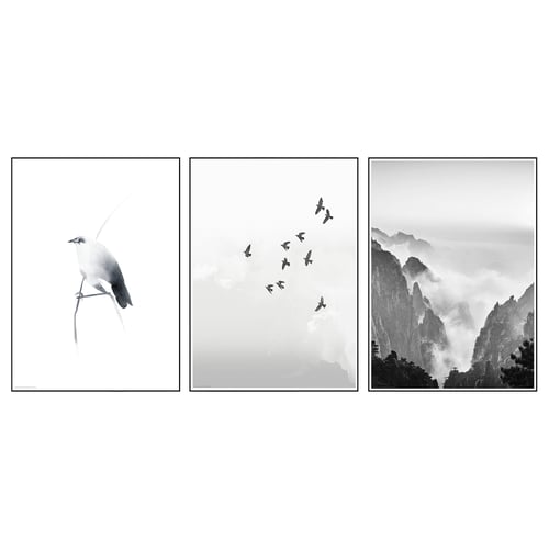 Bild ビルド ポスター 枝にとまる鳥 50x70 Cm Ikea