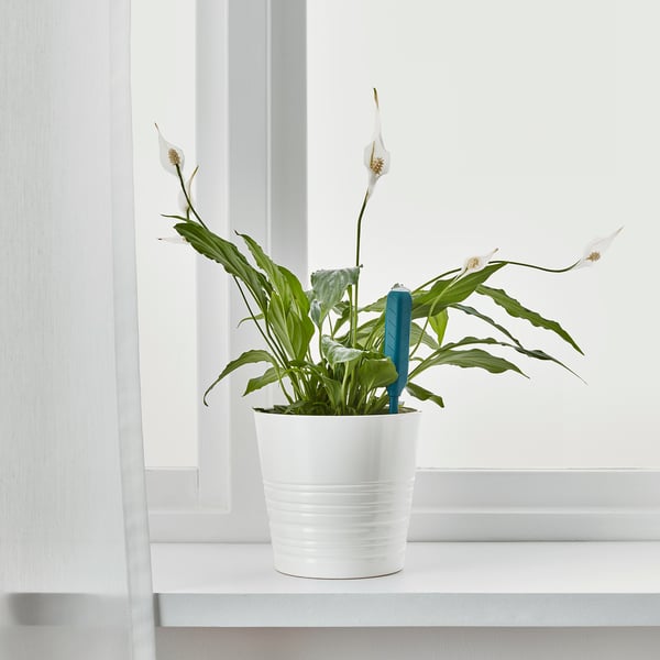Chilipulver チリプルヴェル 水やりセンサー グリーン Ikea