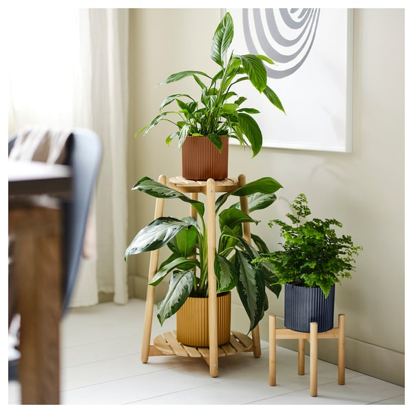 DAKSJUS ダクシュース プラントスタンド, 竹, 60 cm
