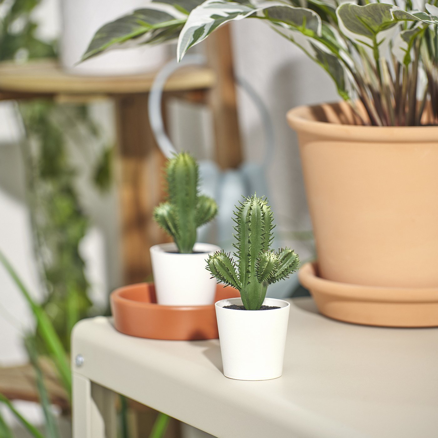 FEJKA フェイカ 人工観葉植物, 室内/屋外用 サボテン, 6 cm - IKEA