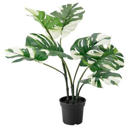 Fejka フェイカ 人工観葉植物 室内 屋外用 モンステラ 15 Cm Ikea