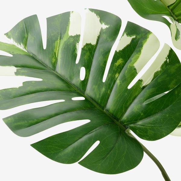 Fejka フェイカ 人工観葉植物 室内 屋外用 モンステラ 15 Cm Ikea