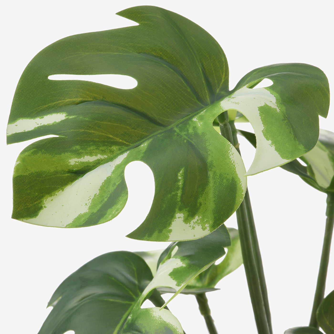 お洒落 Ikea イケア 人工観葉植物 室内 屋外用 モンステラ 19x90cm M Fejka 偉大な Btygravelmart Ca