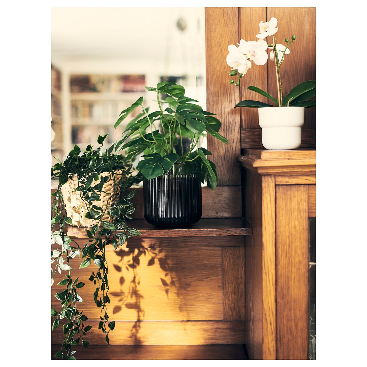 FEJKA フェイカ 人工観葉植物, 室内/屋外用 モンステラ, 12 cm - IKEA