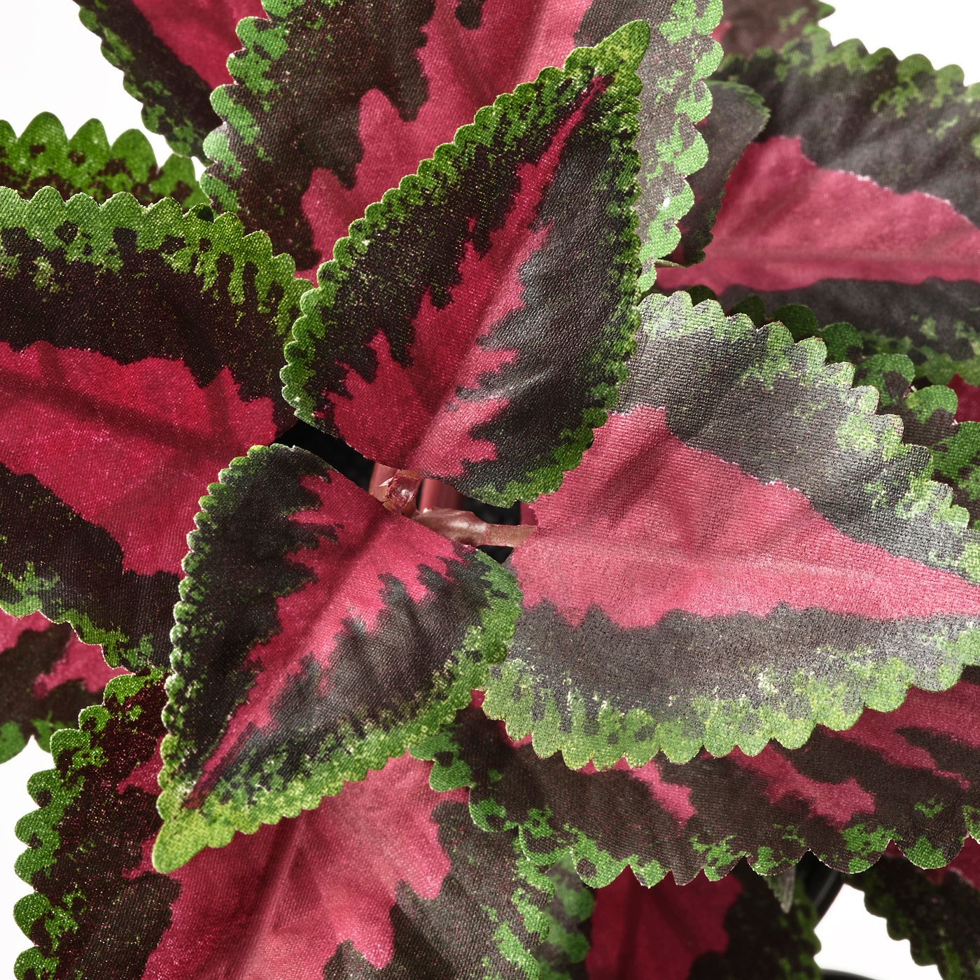 Fejka フェイカ 人工観葉植物 室内 屋外用 コリウス 9 Cm Ikea