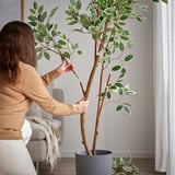 FEJKA フェイカ 人工観葉植物, 室内/屋外用/ベンジャミン, 23 cm - IKEA