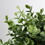 FEJKA フェイカ 人工観葉植物, オレガノ, 9 cm