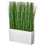 FEJKA フェイカ 人工観葉植物 鉢カバー付き, 室内/屋外用 グラス - IKEA