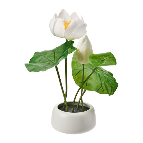 Ikea 植物 カバー