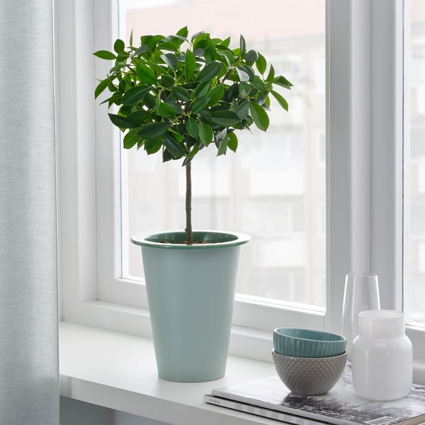 Fnittrig フニットリグ 鉢カバー 室内 屋外用 グリーン 12 Cm Ikea