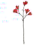 FÖSSTA フォスッタ 造花, モクレン/レッド, 50 cm