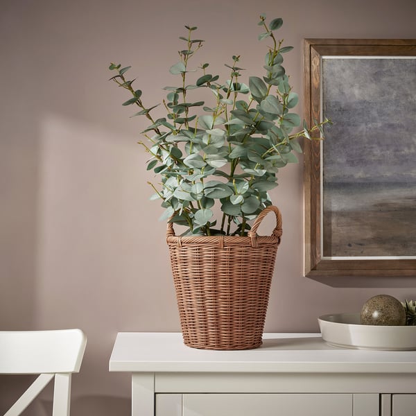 Kaktusfikon カクトゥスフィコン 鉢カバー 籐 19 Cm Ikea