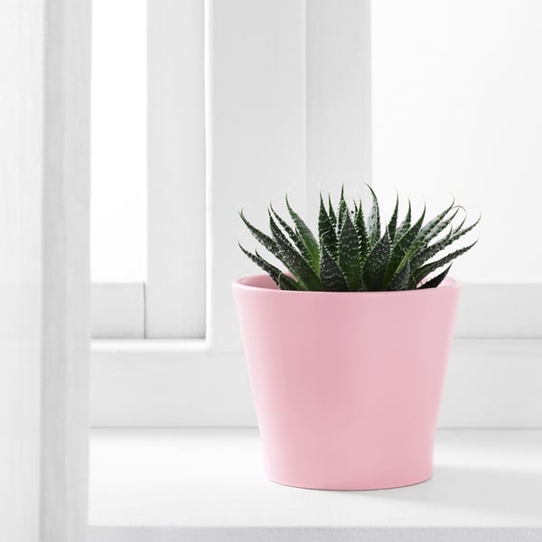 Papaja パパヤ 鉢カバー ライトピンク 9 Cm Ikea