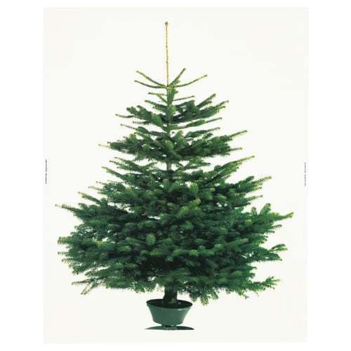Vinter 2021 ヴィンテル 2021 裁断済み布地 クリスマスツリー ホワイト グリーン 150x220 Cm Ikea
