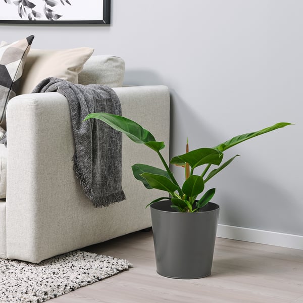 Vitlok ヴィートローク 鉢カバー 室内 屋外用 ダークグレー 24 Cm Ikea Vitlok ヴィートローク 鉢カバー 室内 屋外用 ダークグレー 24 Cm Ikea