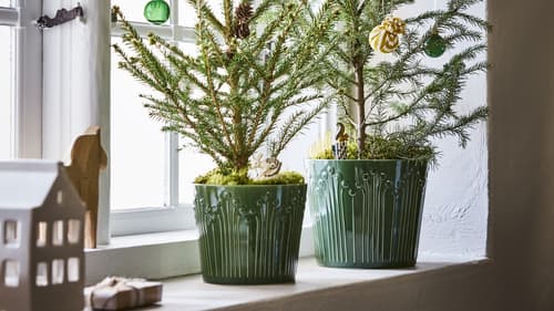 Winter pots & vases