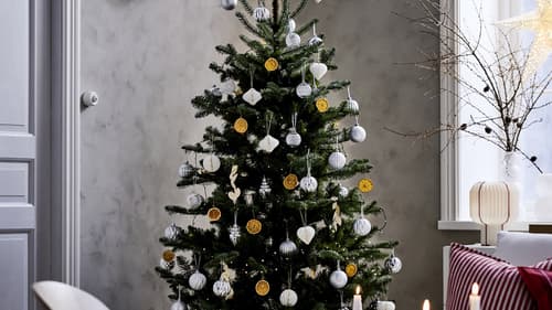 クリスマスツリー