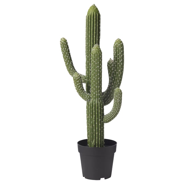 fejka artificial potted plant in outdoor cactus 19 cm ikea