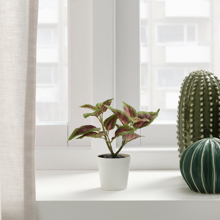 FEJKA Artificial potted plant with pot, in/outdoor Painted nettle, 6 cm