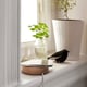IKEA Nordmärke 3 White / Wood Trim Wireless Charging Pad