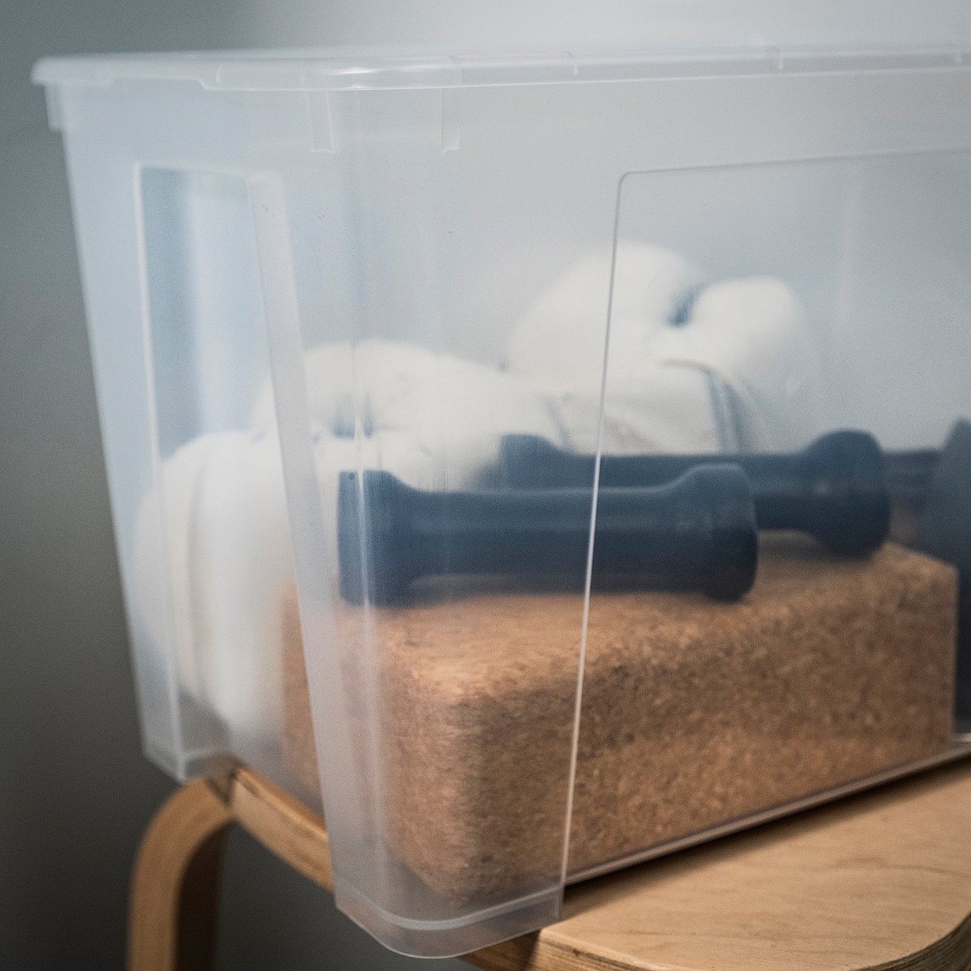 SAMLA box, transparent, 39x28x28 cm/22 l - IKEA