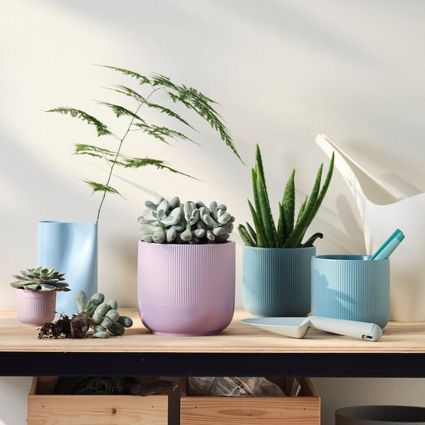 GRADVIS 그라드비스 화분, 실내외겸용 라일락, 15 cm