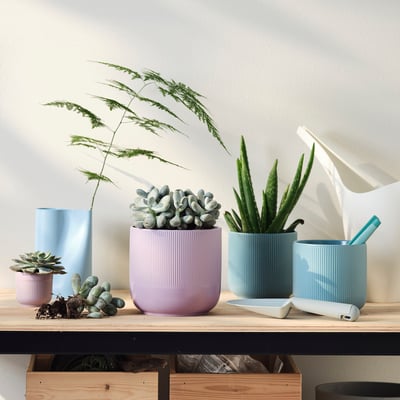 GRADVIS 그라드비스 화분, 실내외겸용 라일락, 15 cm
