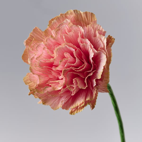 GULDSPETT 굴스페트 조화, 종이/카네이션 핑크, 40 cm