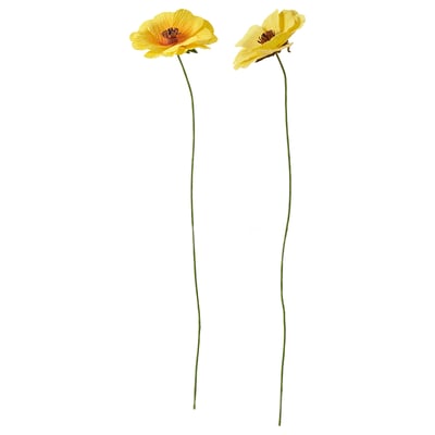 GULDSPETT 굴스페트 조화, 종이/라눙쿨루스 여러 가지 색상, 35 cm