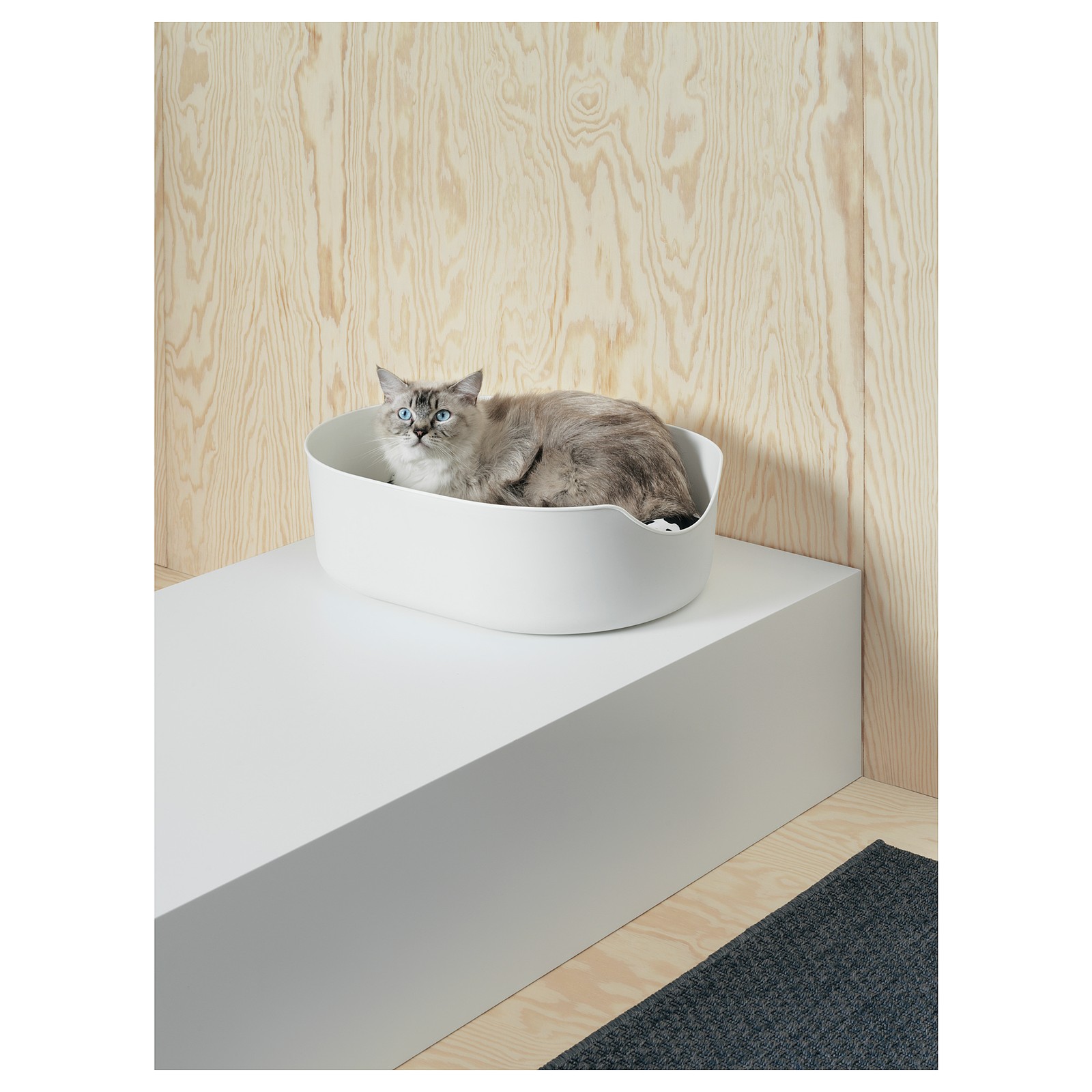 LURVIG 루르비그 고양이화장실, 블랙, 37x51 cm IKEA