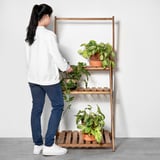 MANNAASK 만나스크 화분스탠드+행거, 실내/실외용 아카시아나무, 140 cm