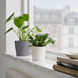 SOJABÖNA 소야뵈나 화분, 화이트, 9 cm