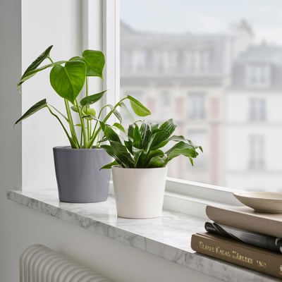 SOJABÖNA 소야뵈나 화분, 화이트, 9 cm