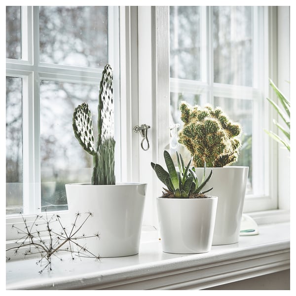 SOJABÖNA 소야뵈나 화분, 화이트, 12 cm