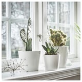 SOJABÖNA 소야뵈나 화분, 화이트, 12 cm