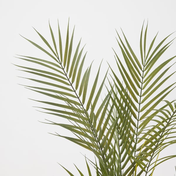 FEJKA نبات صناعي في آنية, داخلي/خارجي/كنتيا بالم, 15 سم