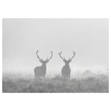 BJÖRKSTA Picture, Deers in fog, 200x140 cm