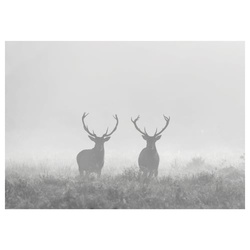 Black and white canvas featuring two silhouetted deer in foggy field.