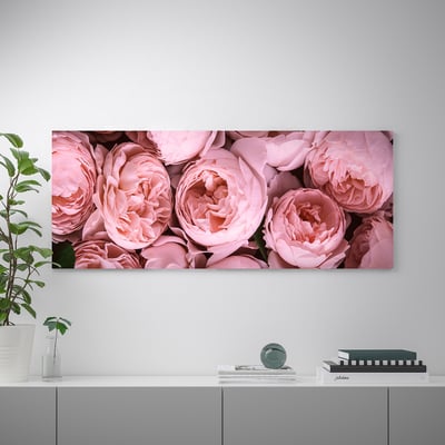 A canvas with pink roses hangs on a wall, below a plant and books on a shelf.