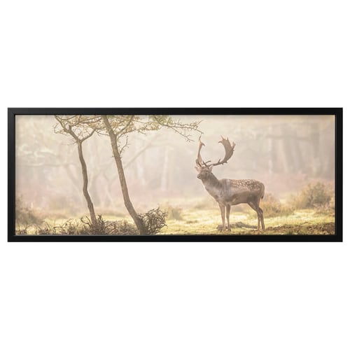 Framed wildlife print, deer in foggy forest, black frame, rectangular, modern nature art.
