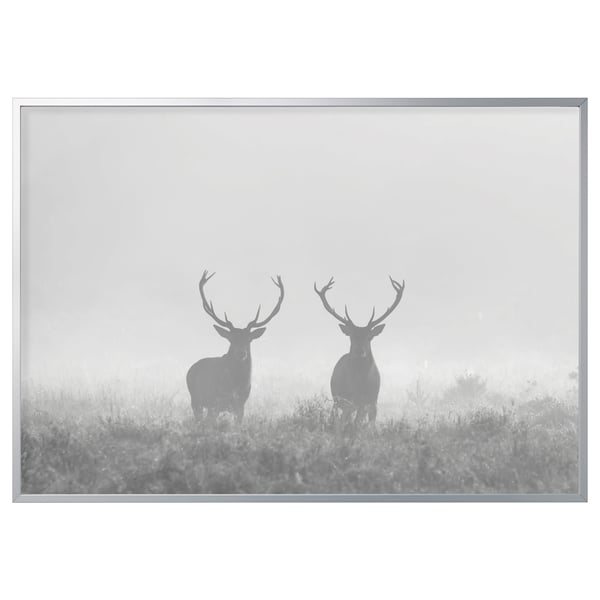 Room decor: BJÖRKSTA frame, aluminium, neutral colour, rectangular, minimalist design, featuring two deer in foggy field.
