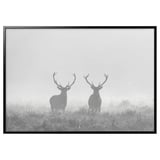 BJÖRKSTA Picture with frame, Deers in fog/black, 200x140 cm