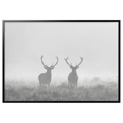 BJÖRKSTA frame holds two deer art print, large, rectangular, black frame, minimalist design.
