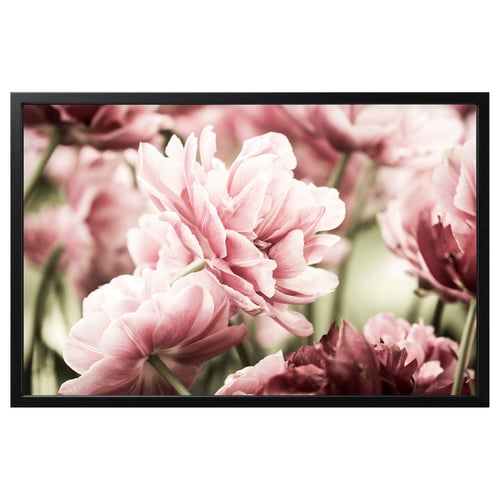 BJÖRKSTA picture frame displays soft pink flowers in large rectangular black frame.