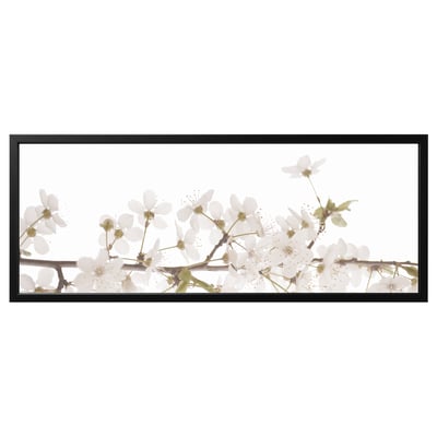 Black rectangular frame with white cherry blossoms. Modern, minimalist floral artwork with delicate, detailed flowers.