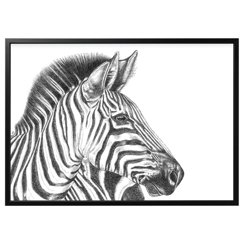 Black and white zebra head print, framed in black, detailed artwork.