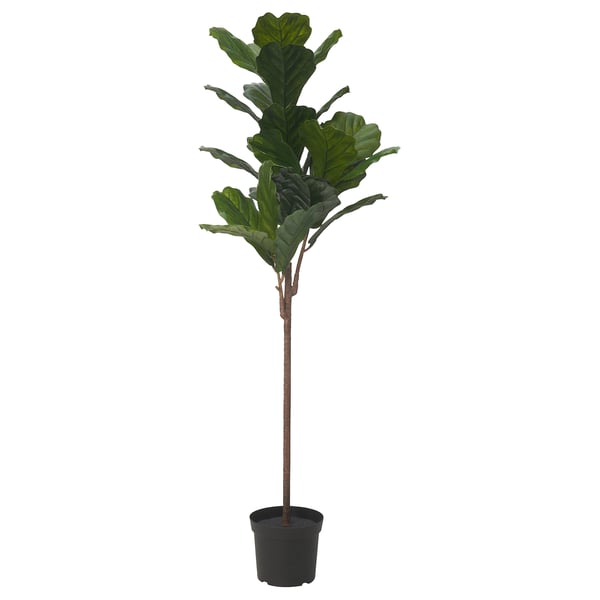 FEJKA Artificial potted plant, in/outdoor fiddle-leaf fig, 19 cm